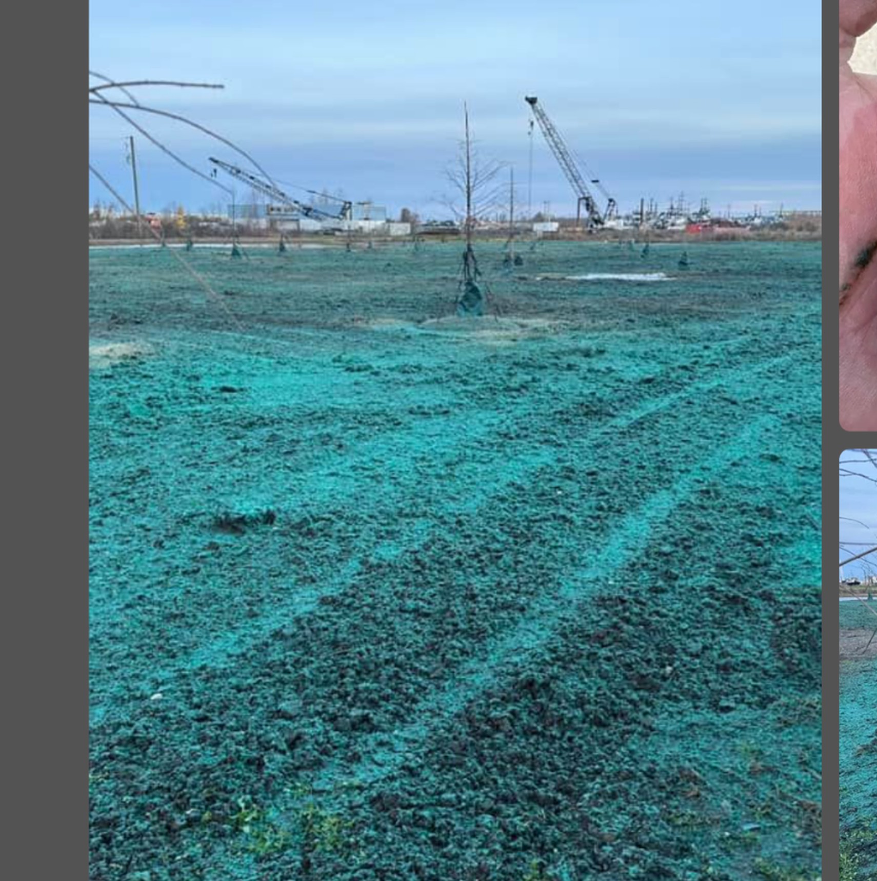 Cypress Environmental project work